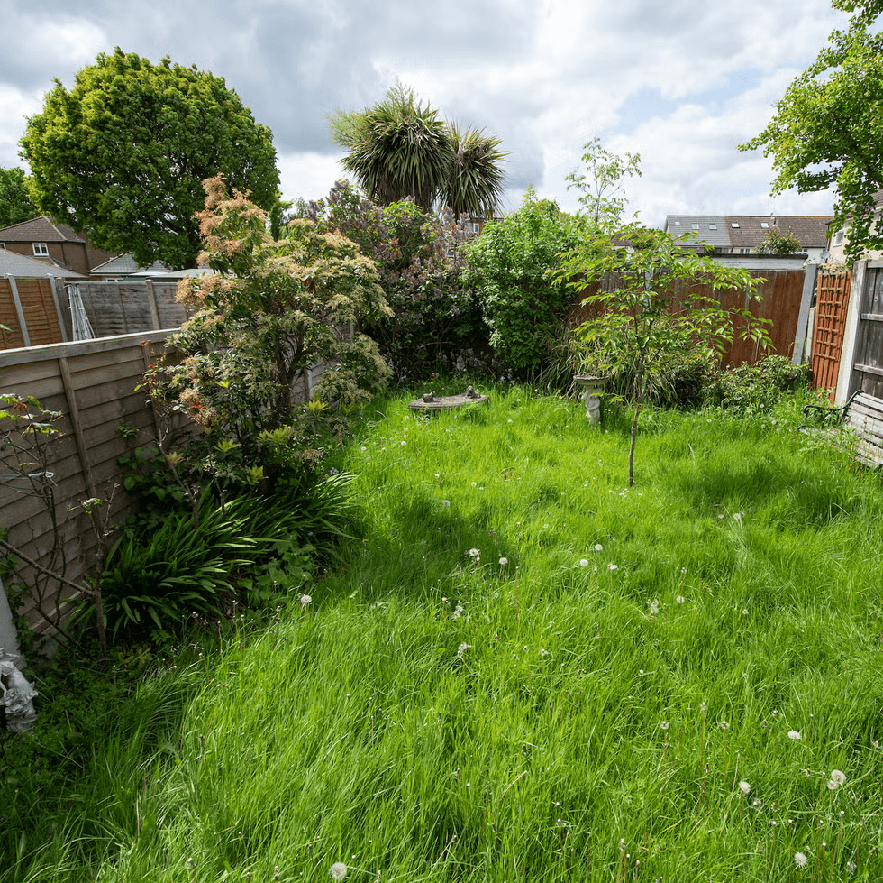 Before garden transformation